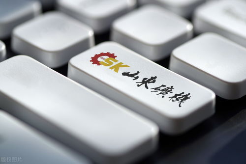 山東礦機 財報揭示股價低迷，互聯網游戲服務轉型挑戰重重